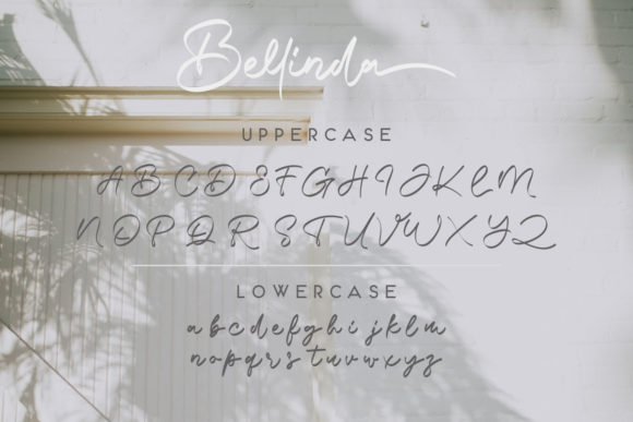 Bellinda Font Poster 7