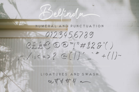 Bellinda Font Poster 8