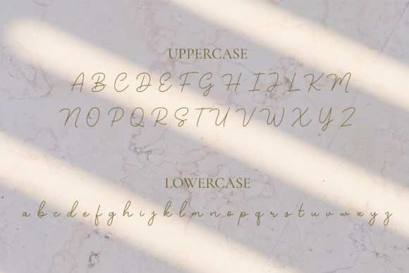 Bellinda Font Poster 4