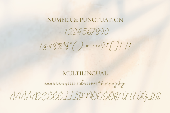 Bellinda Font Poster 5