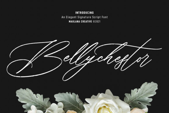 Bellychestor Font