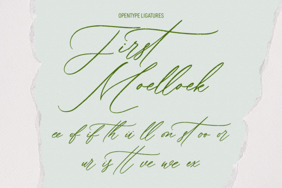Bellychestor Font Poster 9