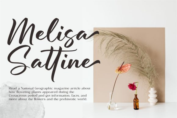 Berdiolla Font Poster 2