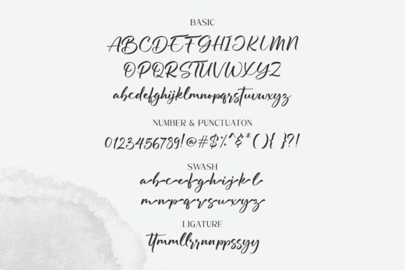 Berdiolla Font Poster 9