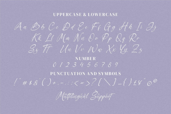 Berthylda Wilonalis Font Poster 7