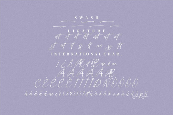 Berthylda Wilonalis Font Poster 8