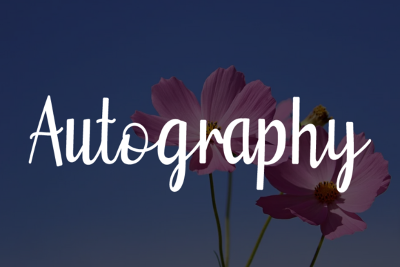 Betrice Font Poster 2