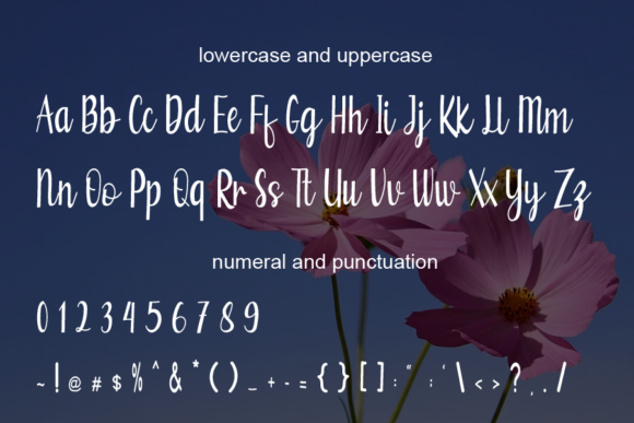 Betrice Font Poster 4