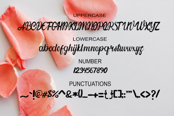 Beutifully Font Poster 6