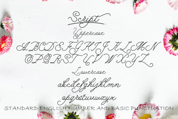 Bidara Farannisa Font Poster 2