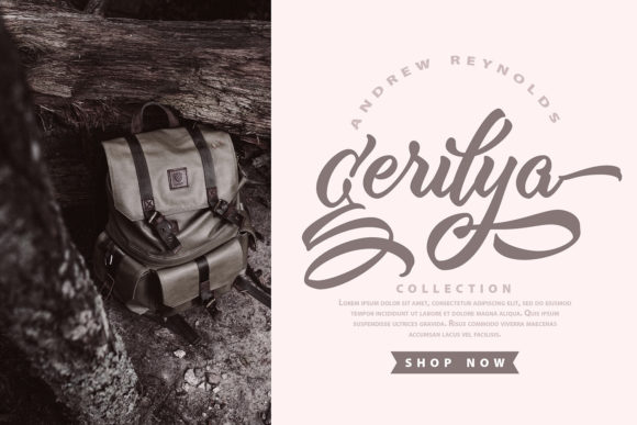 Billjones | Brush Hand-Lettering Script Font Poster 4
