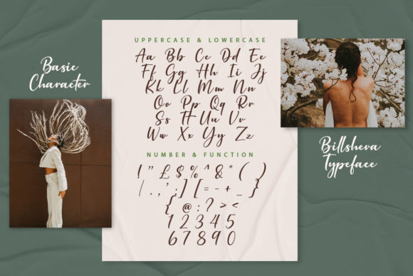 Billsheva Font Poster 8