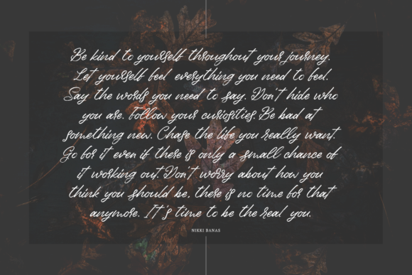 Birdinaire Font Poster 2