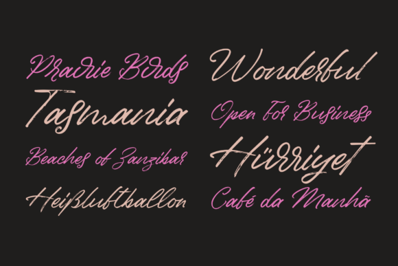 Birdinaire Font Poster 4