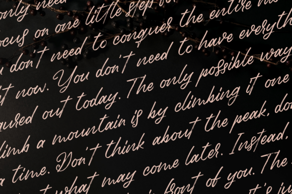 Birdinaire Font Poster 8