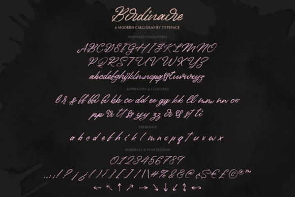 Birdinaire Font Poster 9