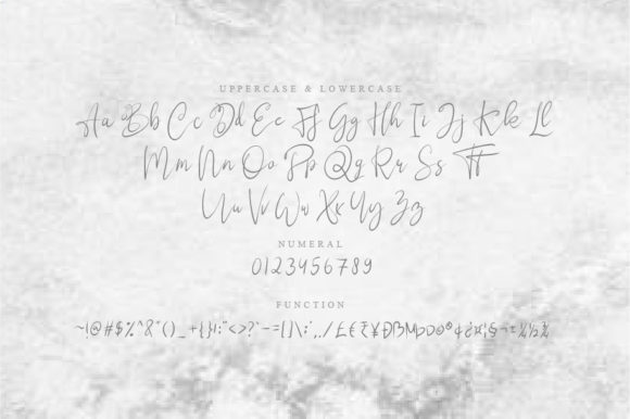 Bithoy Script Font Poster 8