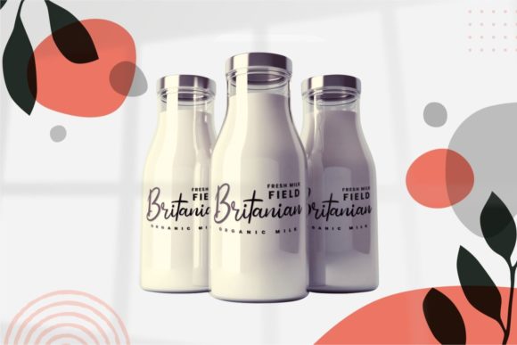 Bitollin Font Poster 4