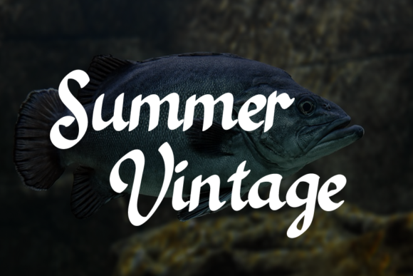 Black Fish Font Poster 2