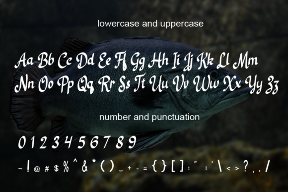 Black Fish Font Poster 4