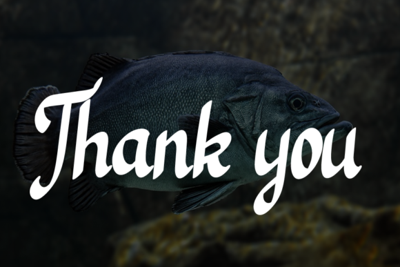 Black Fish Font Poster 5