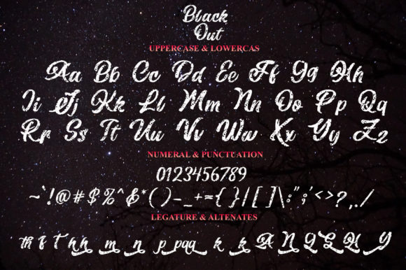 Black out Font Poster 11