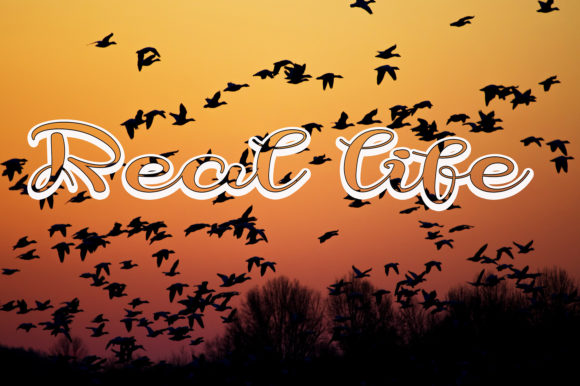 Black Pearl Font Poster 4