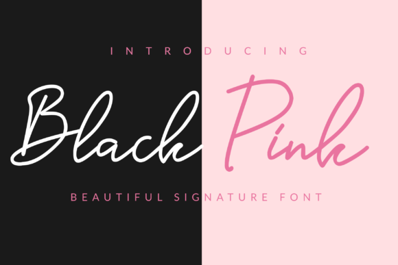 Black Pink Font Poster 1