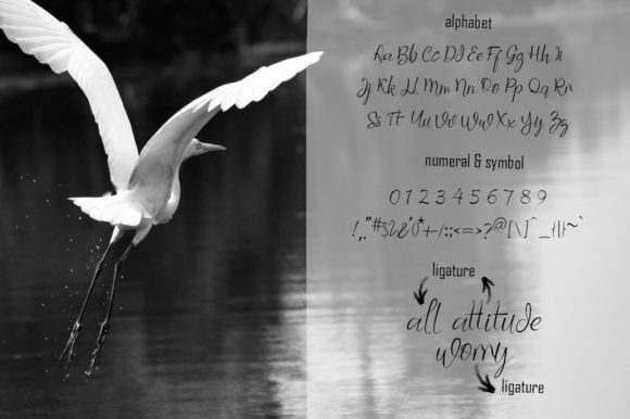 Black Swan Font Poster 3