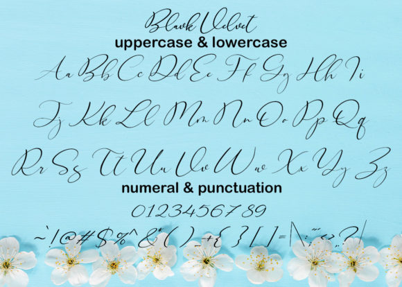 Black Velvet Font Poster 3