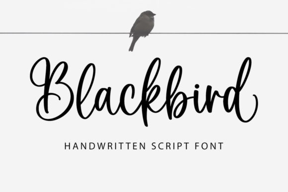 Blackbird Font