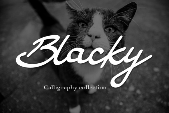 Blacky Font