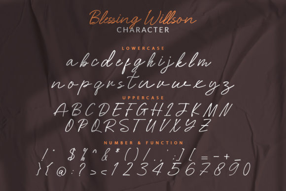 Blessing Willson Font Poster 8