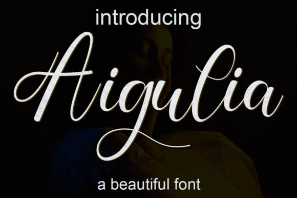Bletinly Home Font Poster 2