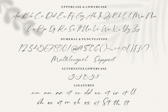 Blindlight Font Poster 8