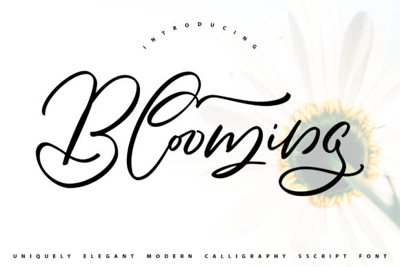 Blooming Font Poster 1