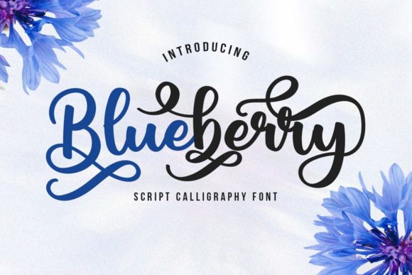 Blueberry Script Font Poster 1