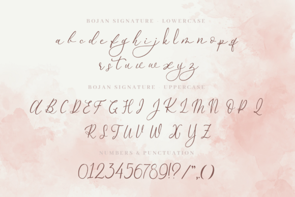 Bojan Signature Font Poster 8