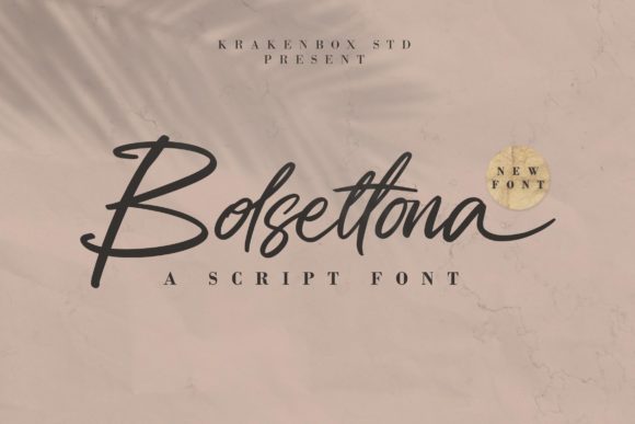 Bolsettona Font Poster 1