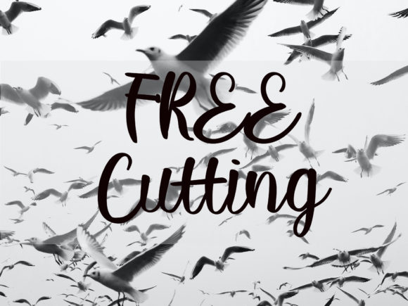 Boomerang Font Poster 3