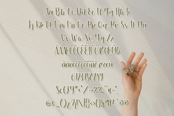 Booster Font Poster 6