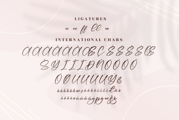 Bordeaux Font Poster 14