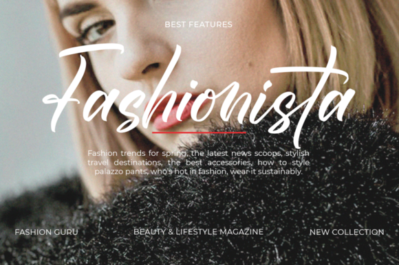 Borsallino Font Poster 6