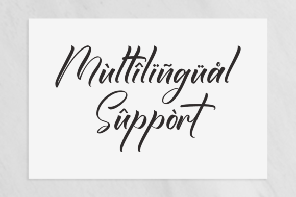 Borsallino Font Poster 9