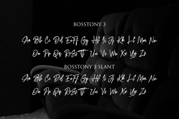 Bosstony 3 Font Poster 2