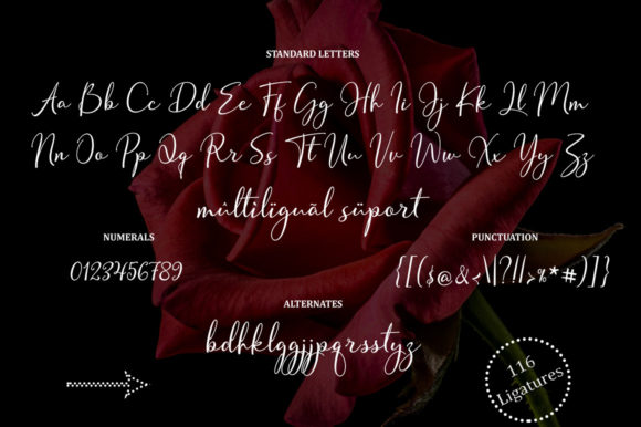 Bothefim Font Poster 8