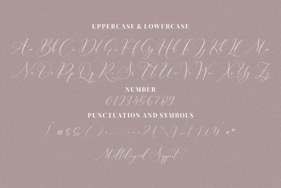 Boutique Qiara Font Poster 11