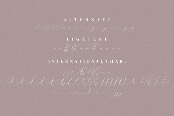 Boutique Qiara Font Poster 12