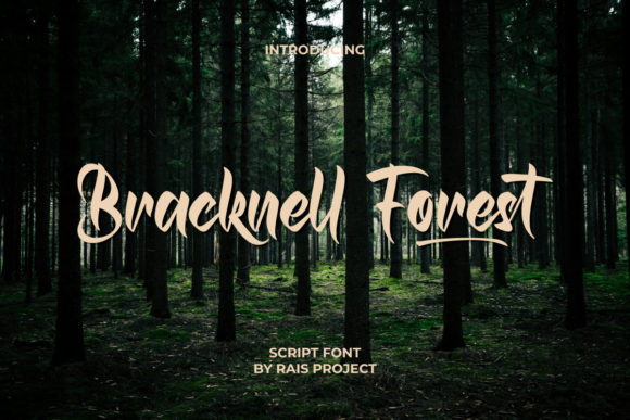Bracknell Forest Font Poster 1