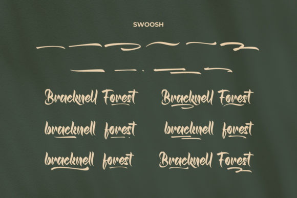 Bracknell Forest Font Poster 9